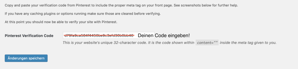 Code ins Plugin eingeben